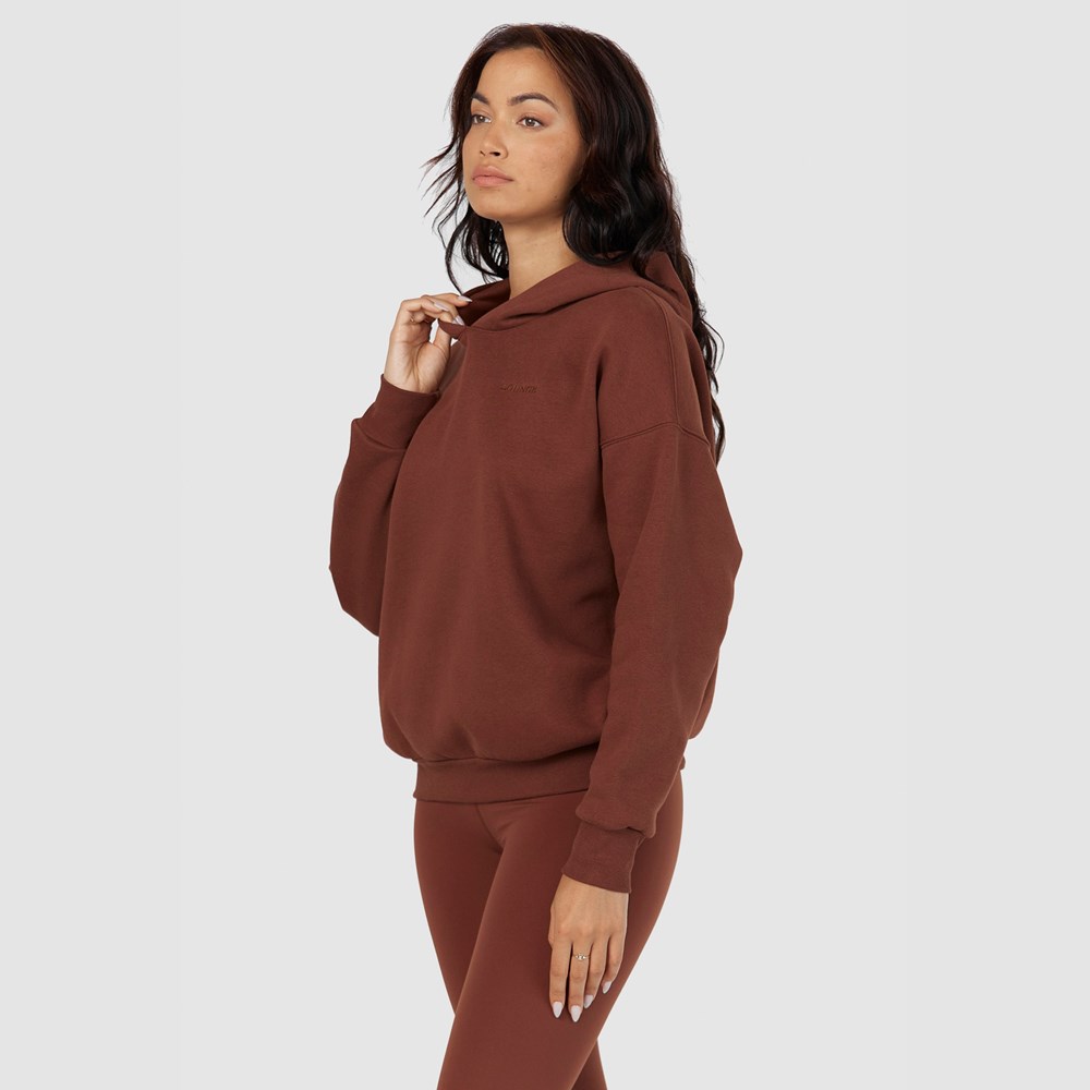 Lounge Underwear 365 Oversized Hoodie Čokoláda | PESGMIF-54