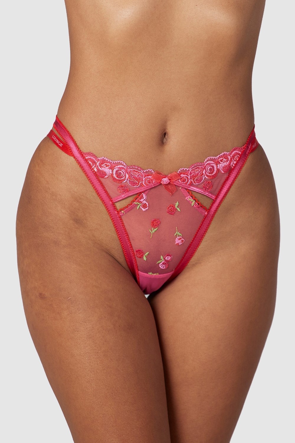 Lounge Underwear Blush Embroidered Briefs Ruzove | JXEOKDC-69