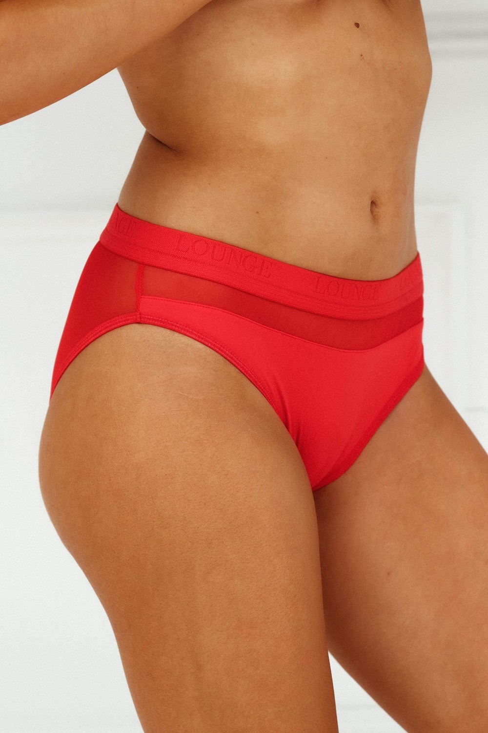 Lounge Underwear Mesh Briefs Červené | IJFWXTH-50