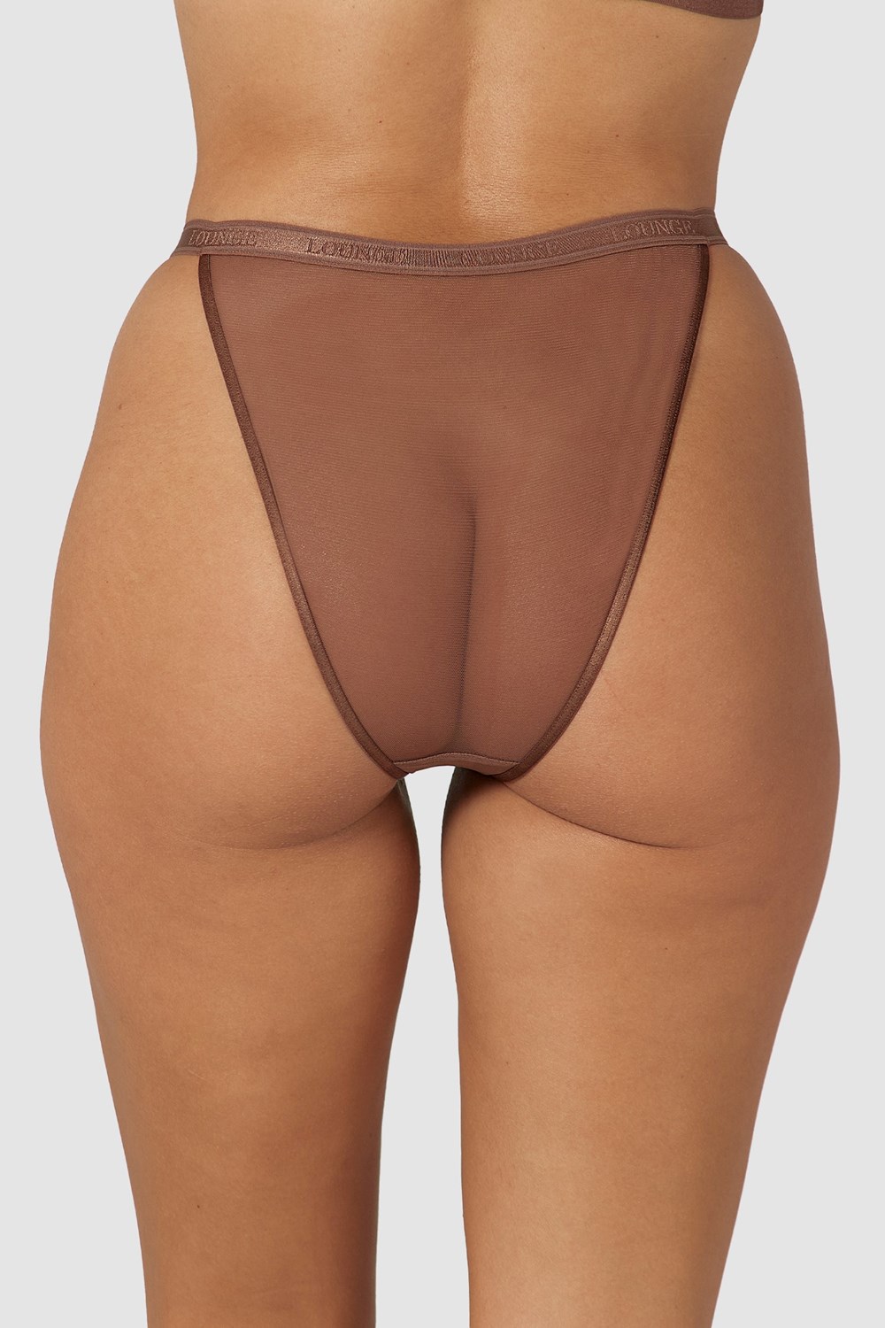 Lounge Underwear Smooth Mesh Briefs Chestnut | PDNUQLX-14